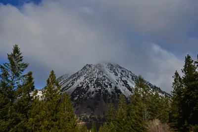 DSC_5889 (Large).JPG